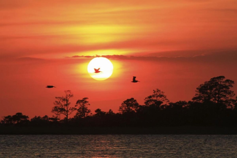 Hotel Tybee Image 11
