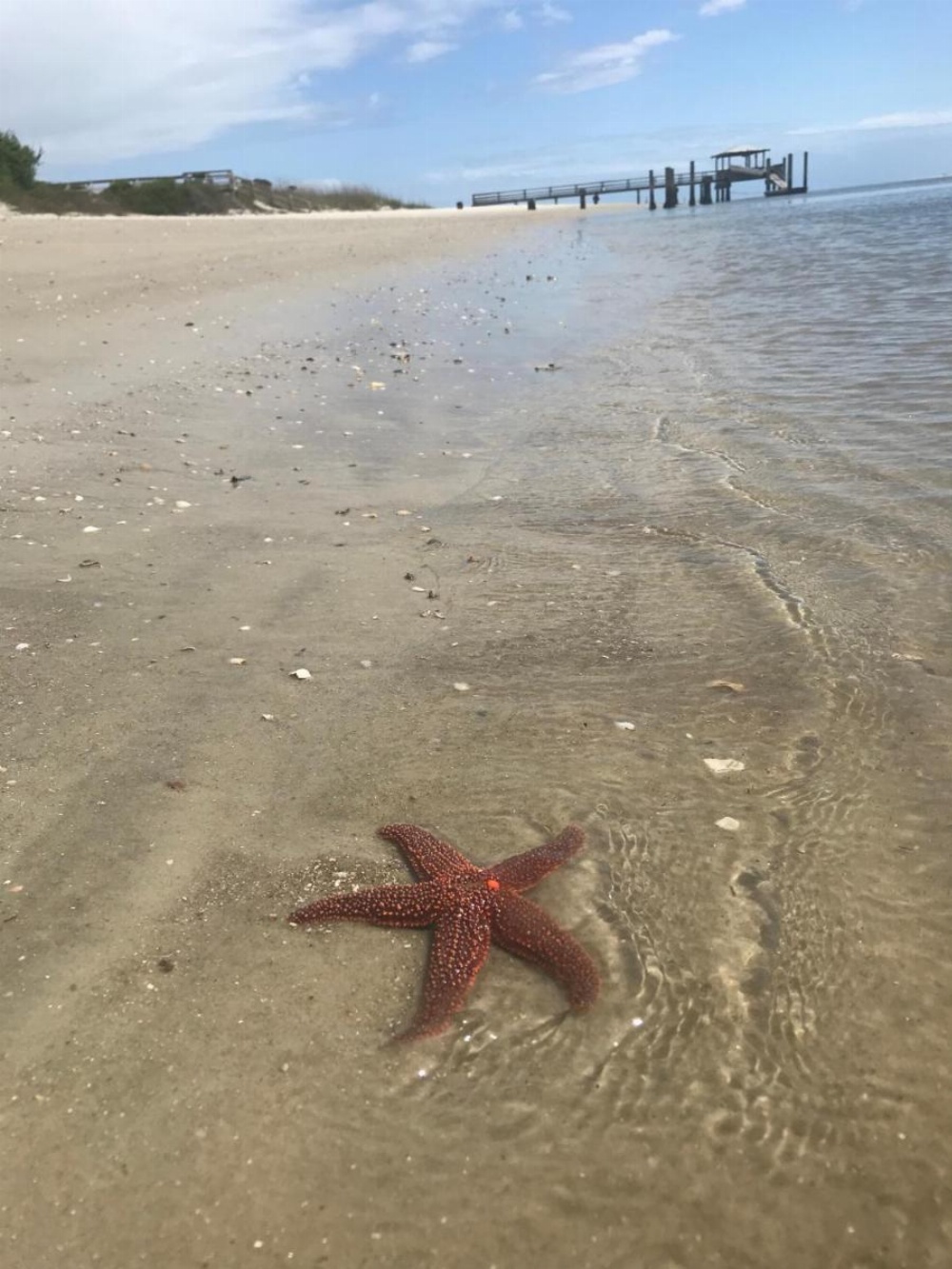 Hotel Tybee Image 19